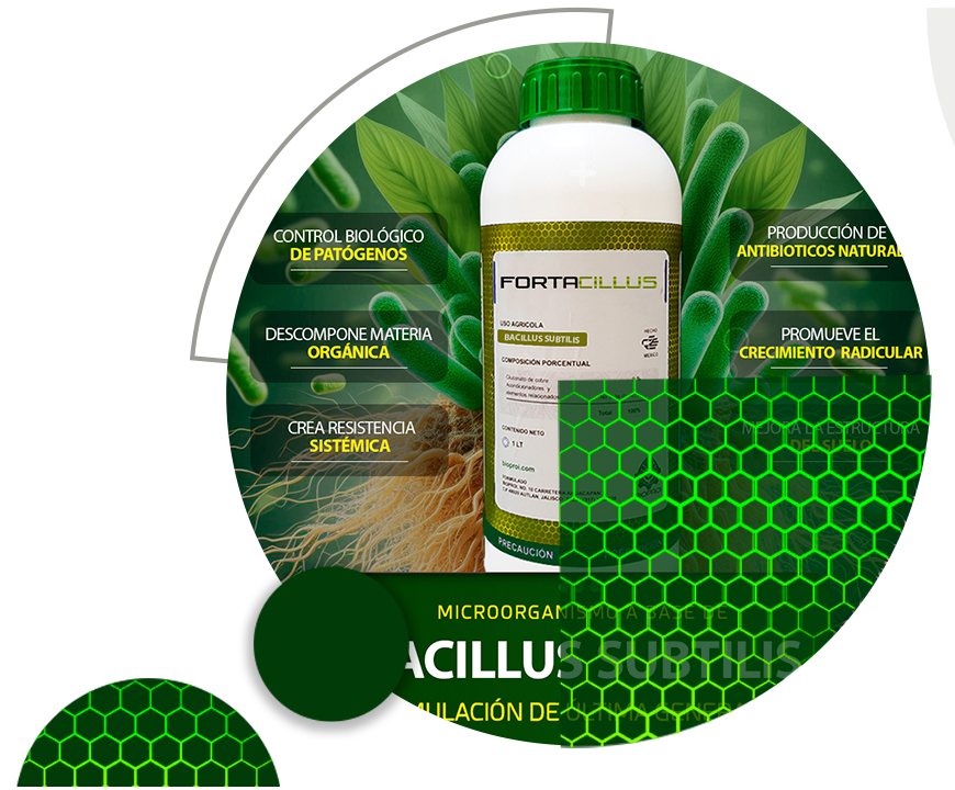 banner sobre un prodcuto agricola futurista organico