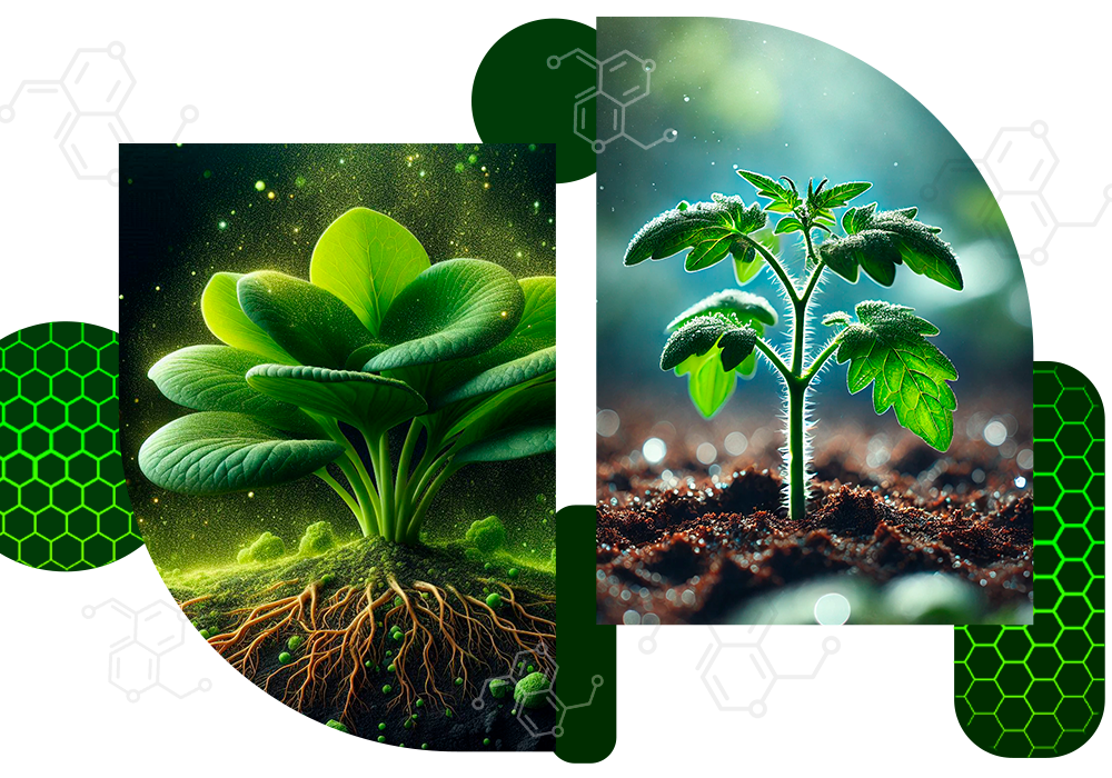 Moleculas de inovacion que muestra una planta con tecnoliga avanzada en su crecimiento
