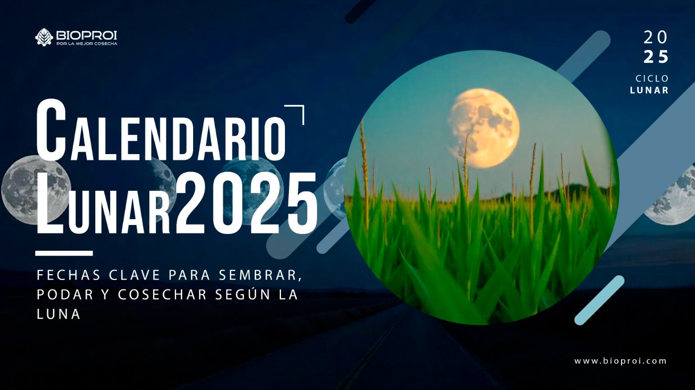ciclos lunares