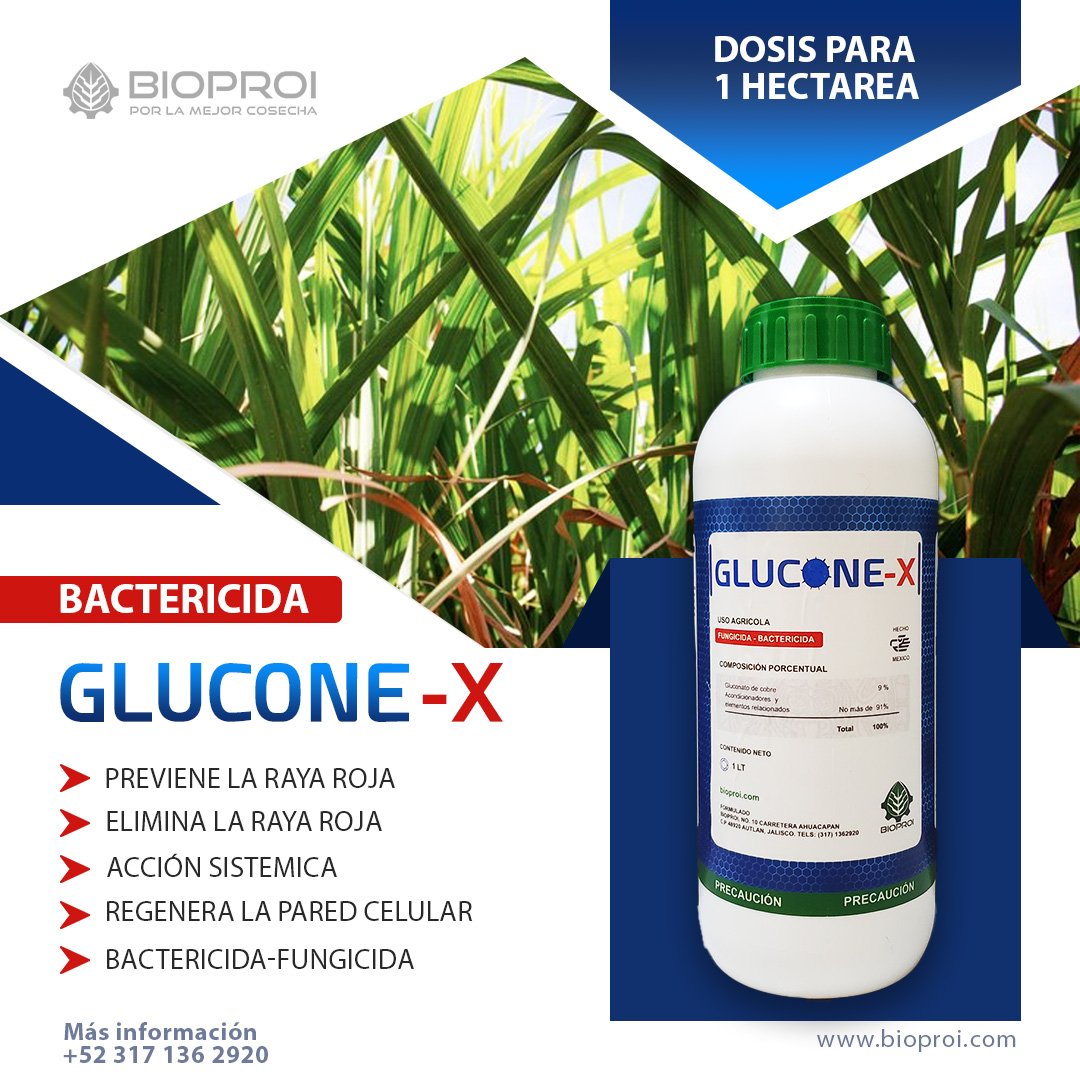 Banner de Glucone-x solución a la raya roja