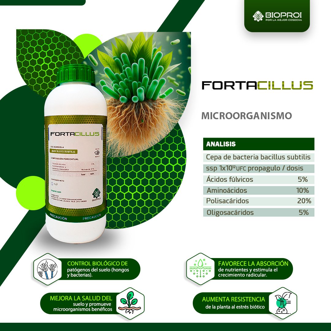 Control biológico para café 