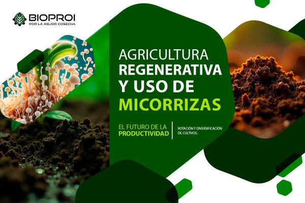microorganismos y suelos sanos 