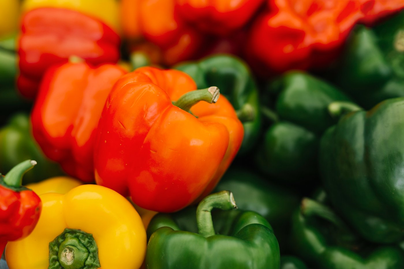 Pimientos de distintos colores