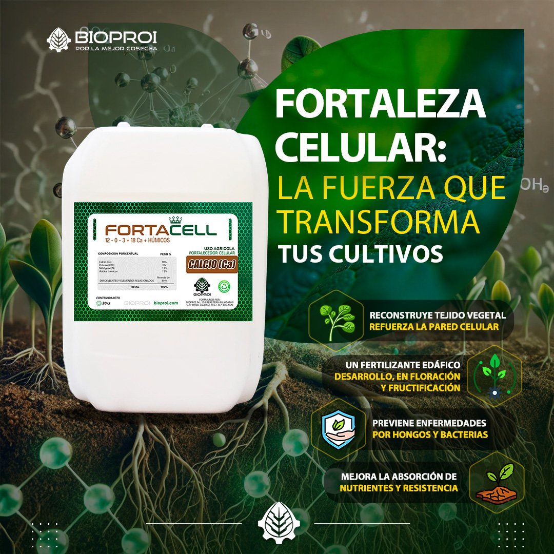 fortalecedor vegetal 