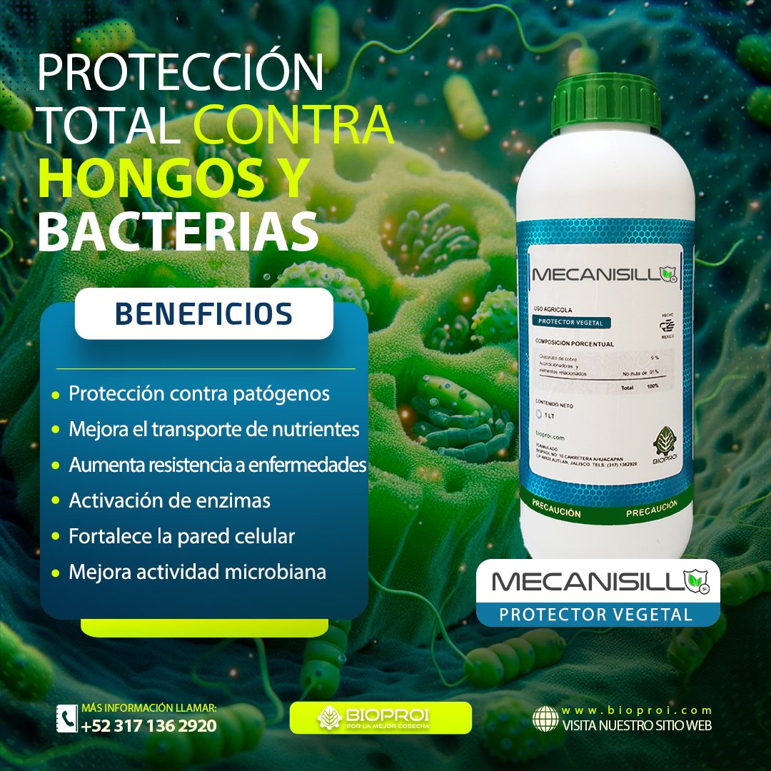 producto de Mecanisill en banner promocional&nbsp;