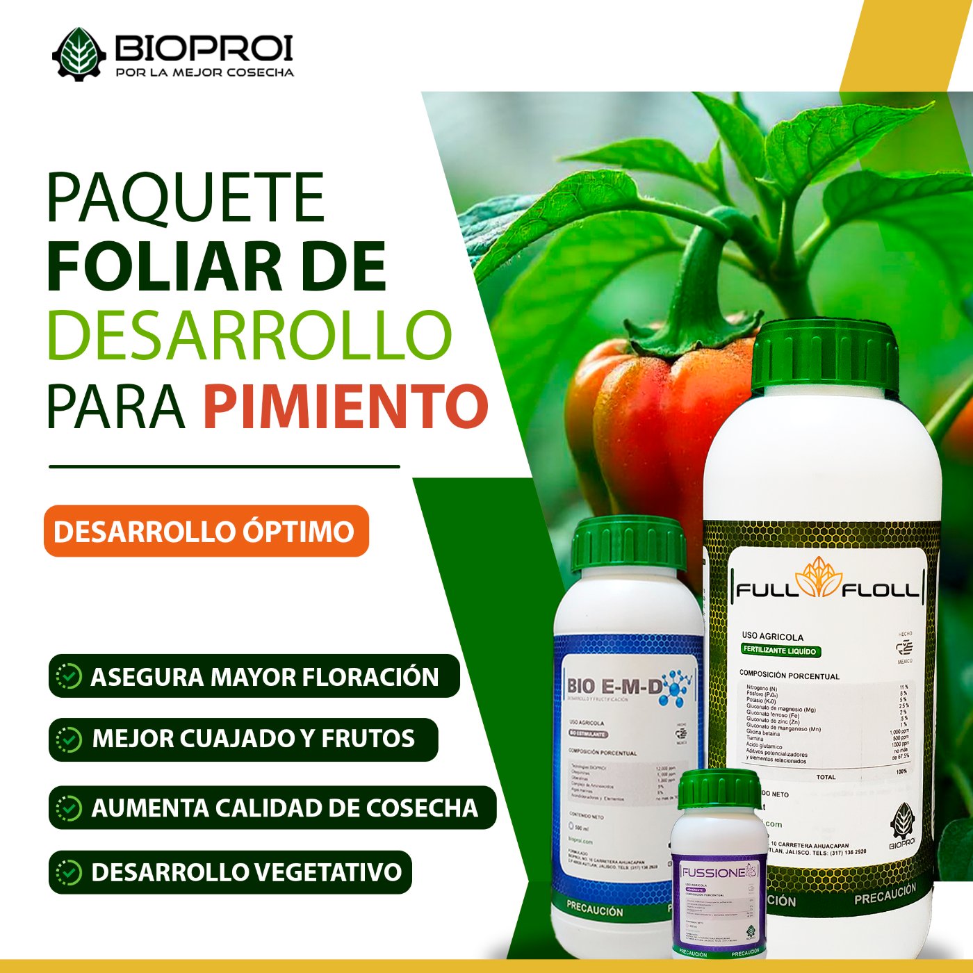 Cuajado de flor y fruto 