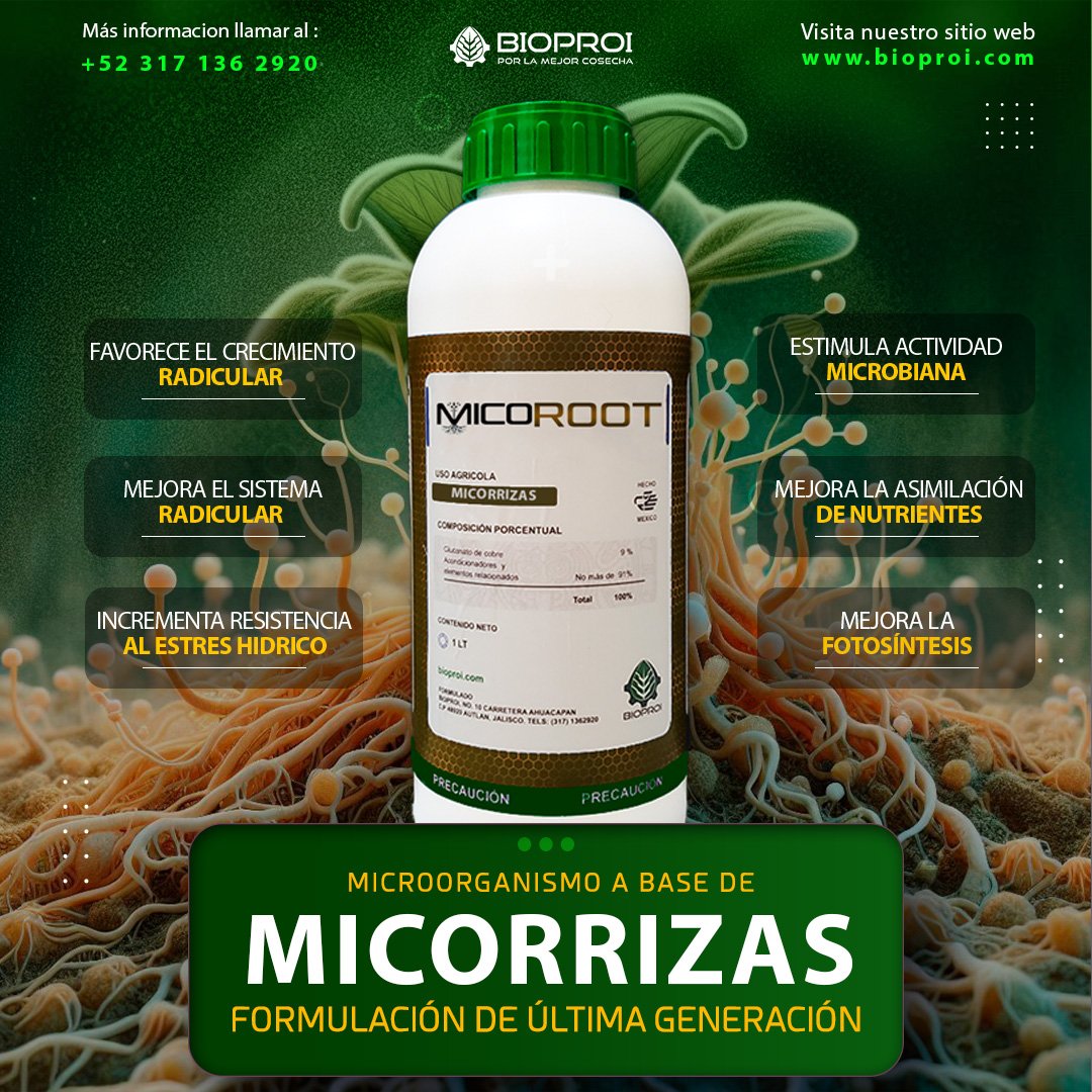 microorganismos&nbsp;