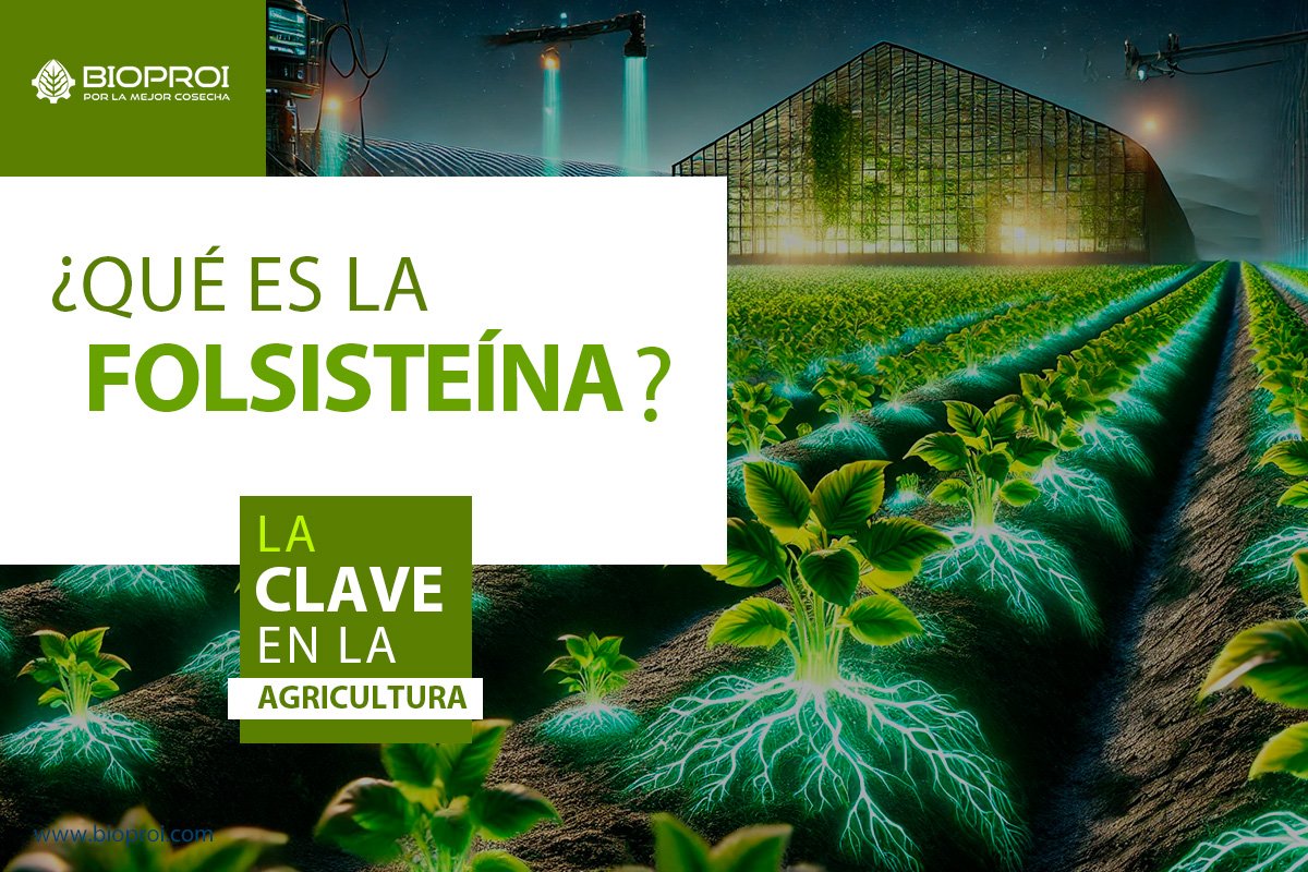 Plantas con aplicación de folsisteína 