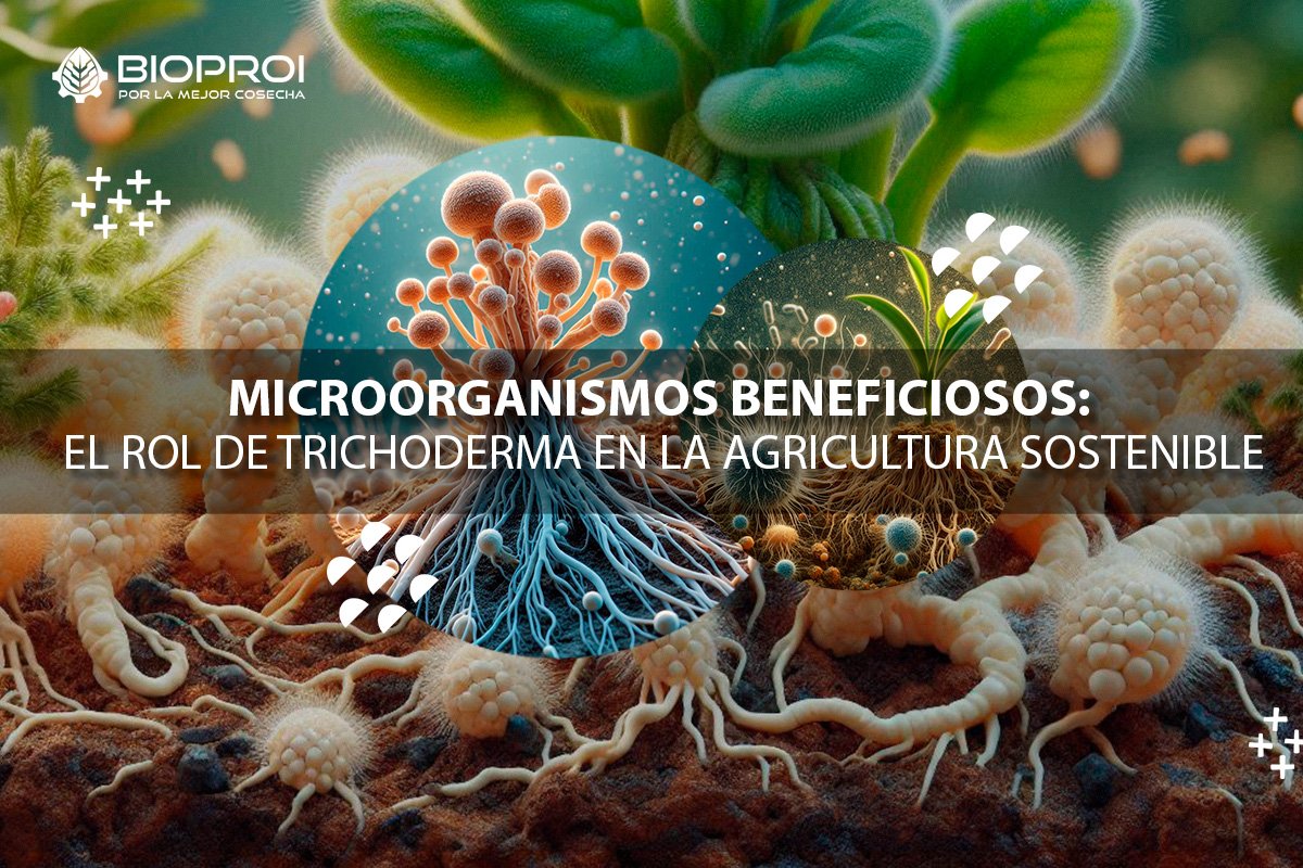 microorganismos