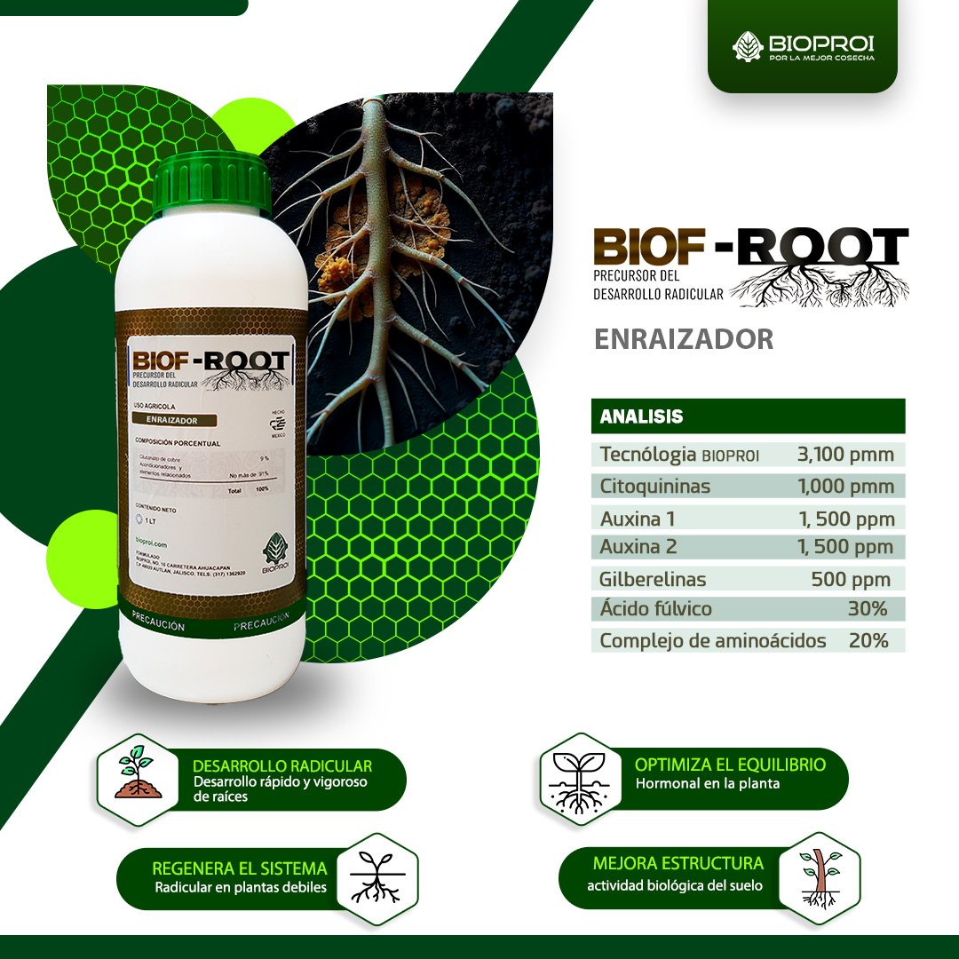 enraizador de alta calidad 