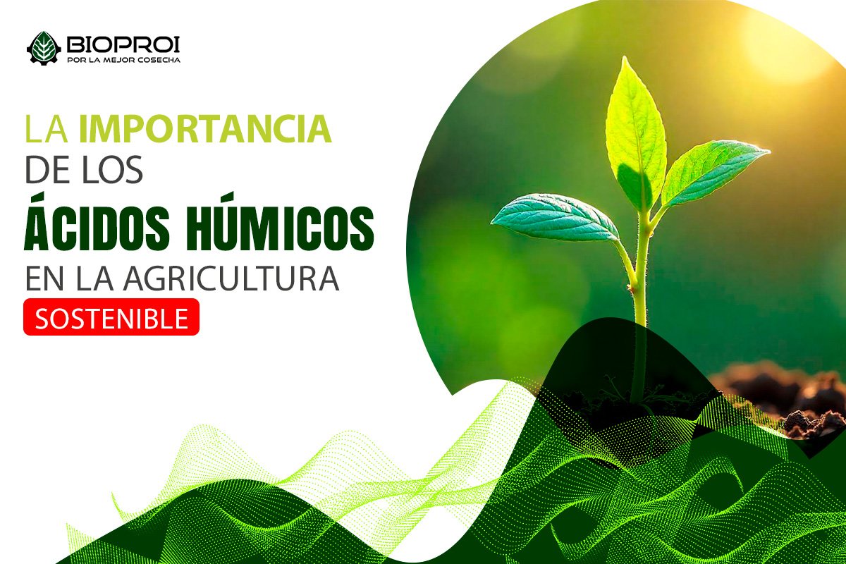 planta verde, ondas futuristas, banner.