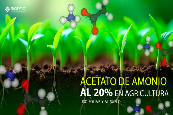 cultivo sano y crecimiento 