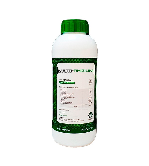 Producto METARHIZIUM de bioproi Microorganismo