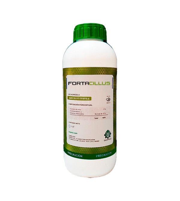 Producto FORTACILLUS de bioproi Microorganismo
