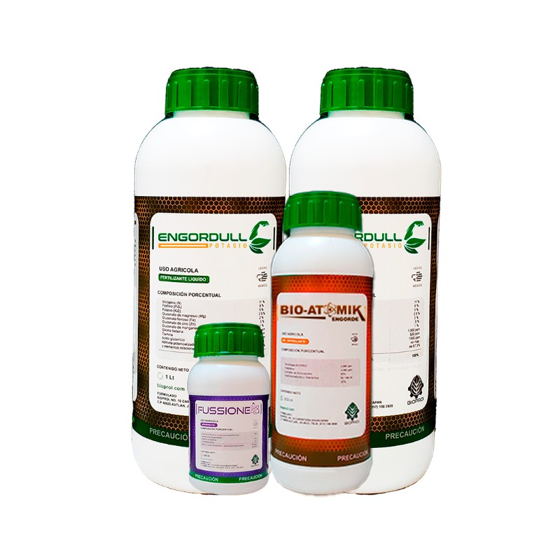 Producto Paquete Foliar de Engorde para Cultivo de Tamarindo de bioproi 