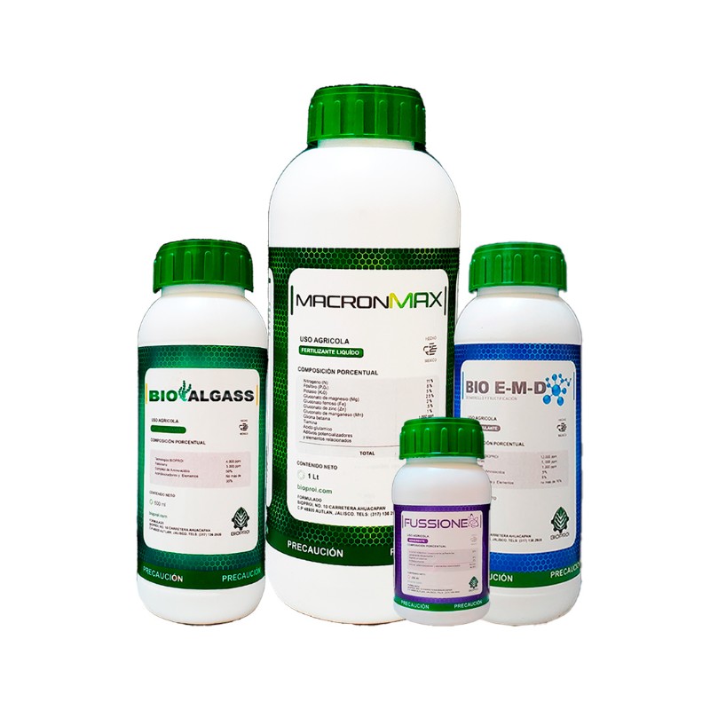 Producto Paquete Foliar de Nutrición para Maíz de bioproi 