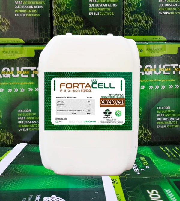 Producto FORTA-CELL de bioproi Fortalecedor Celular